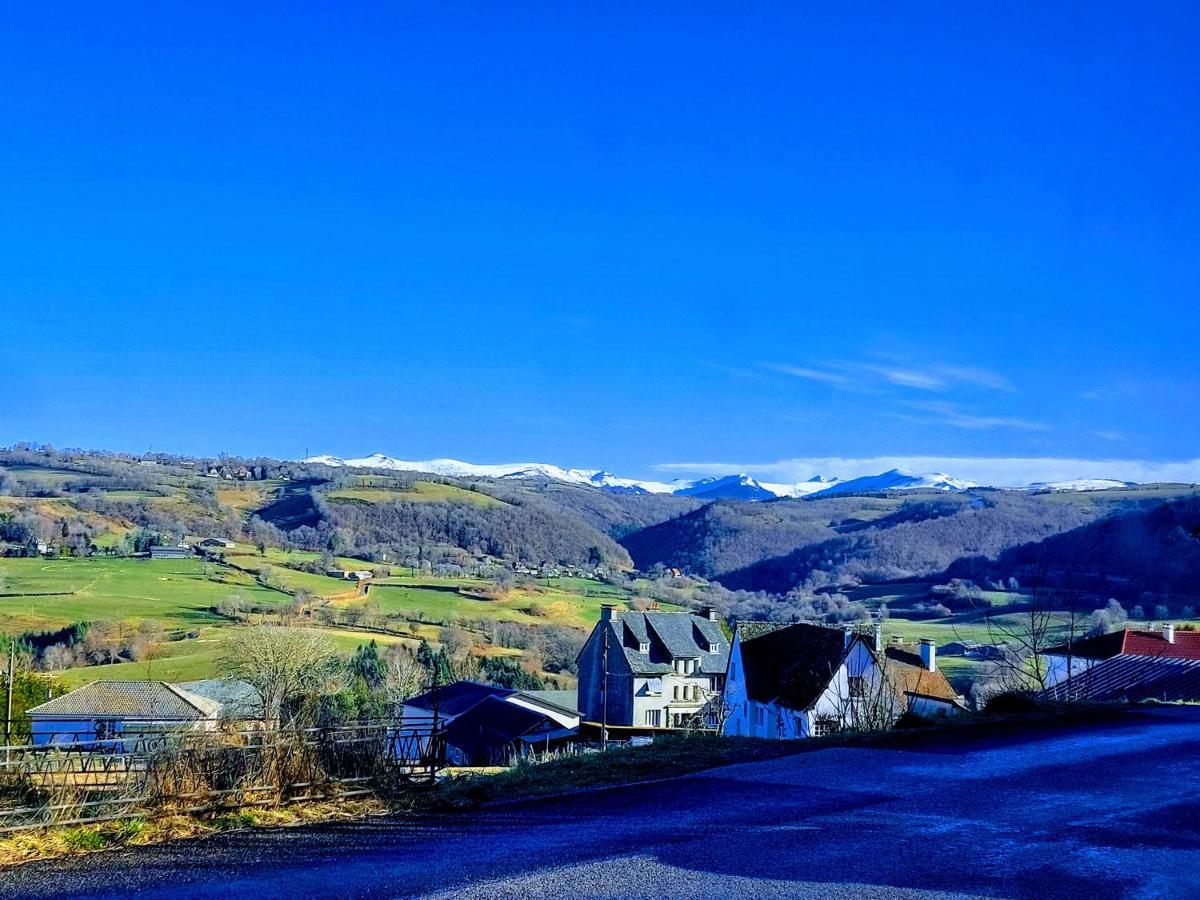 Gites Puy Mary Et Puy Griou Saint-Cernin  Exterior foto